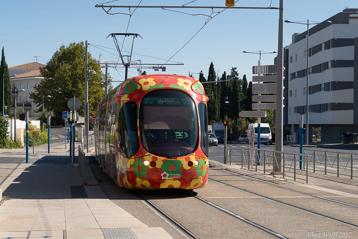 Occitanie - Les couleurs du tram  