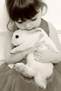 bunny hugs