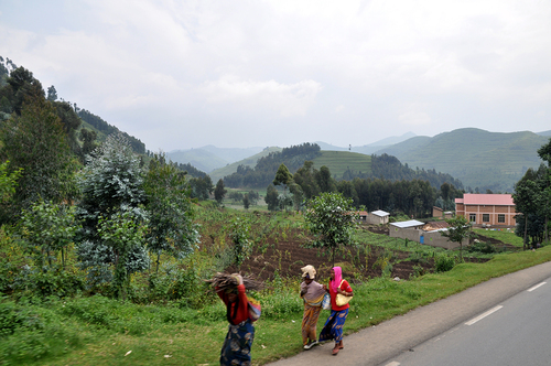 Entre Kigali et le lac Kivu