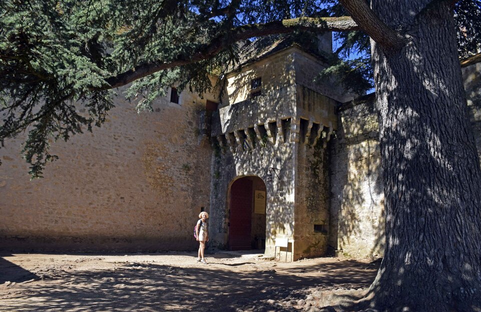 J14 - Périgord - Vallée de la Dordogne - Château de Fénelon - L'entrée de la 2° enceinte sous le cèdre du Liban