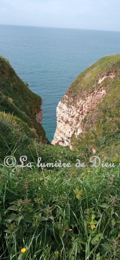 Bénouville, la valleuse du Curé