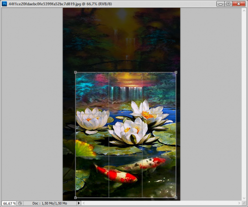 Réglage de la taille de l'image cours 1