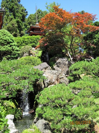 Le jardin  japonais du thé (Japanese tea garden) de San Francisco (Californie)