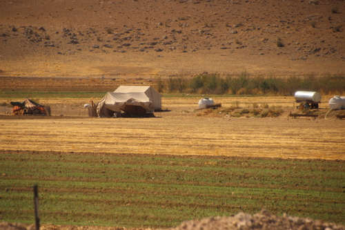 Pasargades et le yakhtchal de Abarkuh