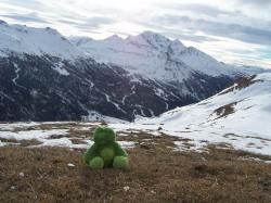 mascotte en montagne