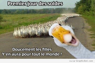 c'est les soldes - vive l'humour -