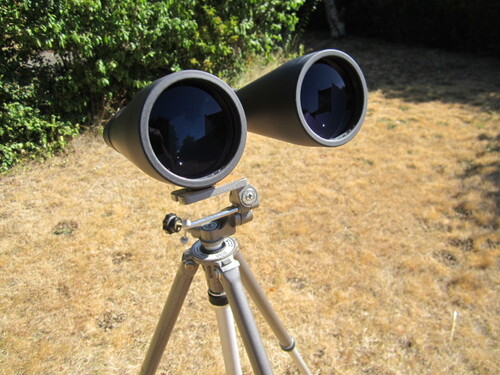 Jumelles Celestron