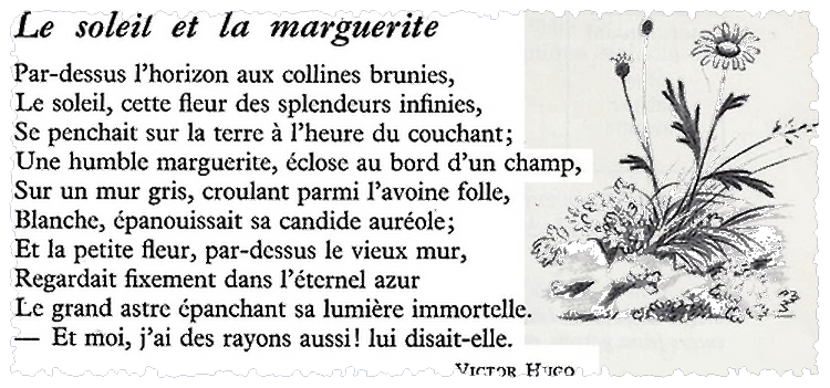 "Le soleil et la marguerite" poème de Victor Hugo