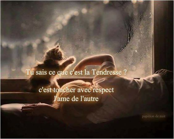 Résultat de recherche d'images pour "images de nanipeinture"