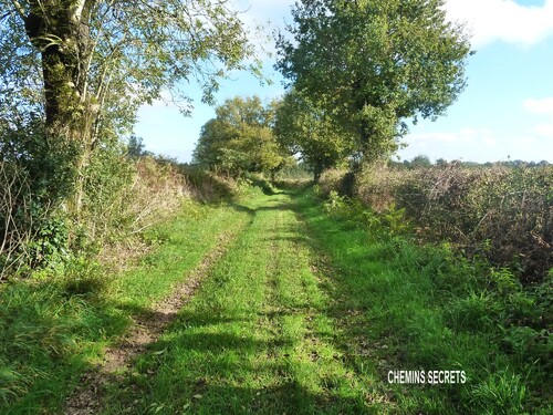 Le chemin de Bressuire à Fontenay (1)