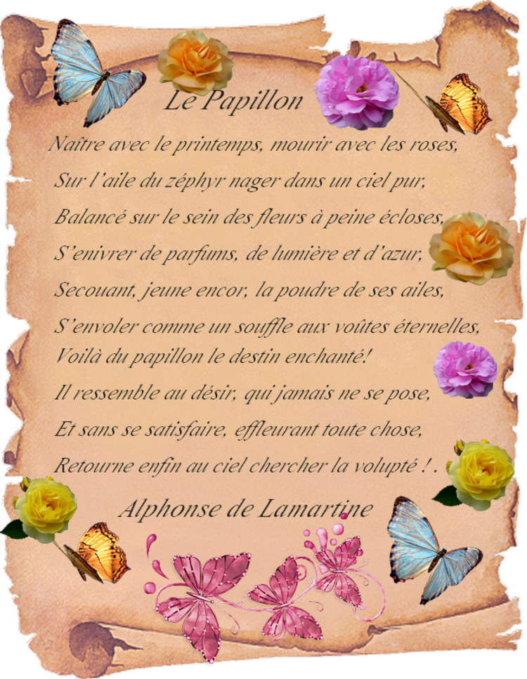 " Le Papillon "  poème d'Alphonse de Lamartine