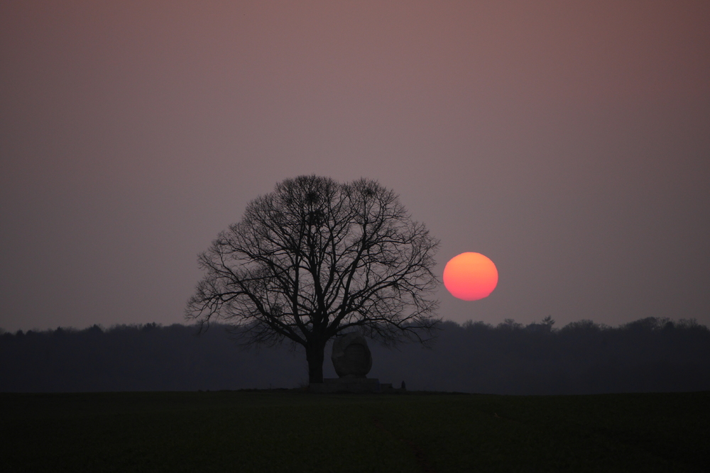 Samedi 12 Mars 2016