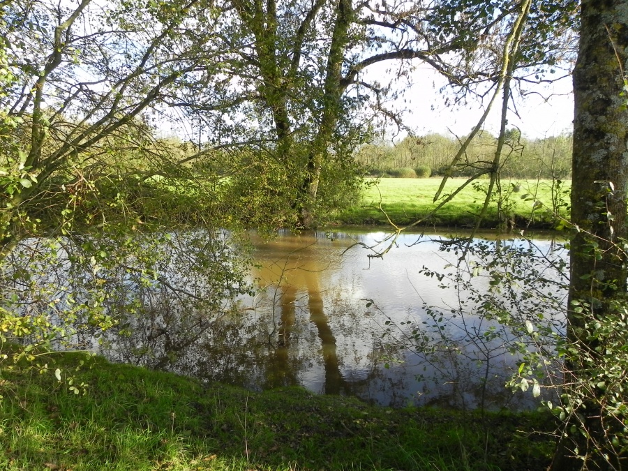 le lac à Saint Philbert de Grand-Lieu