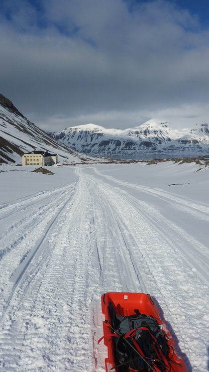 Longyearbreen