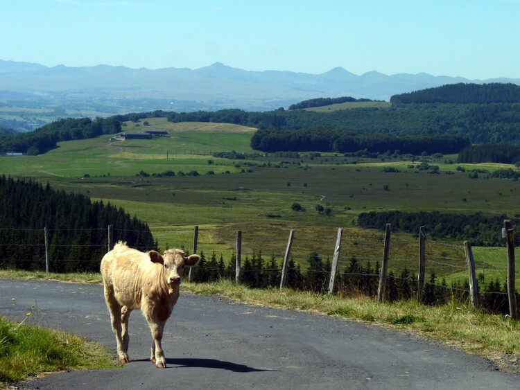 Monts du Cantal