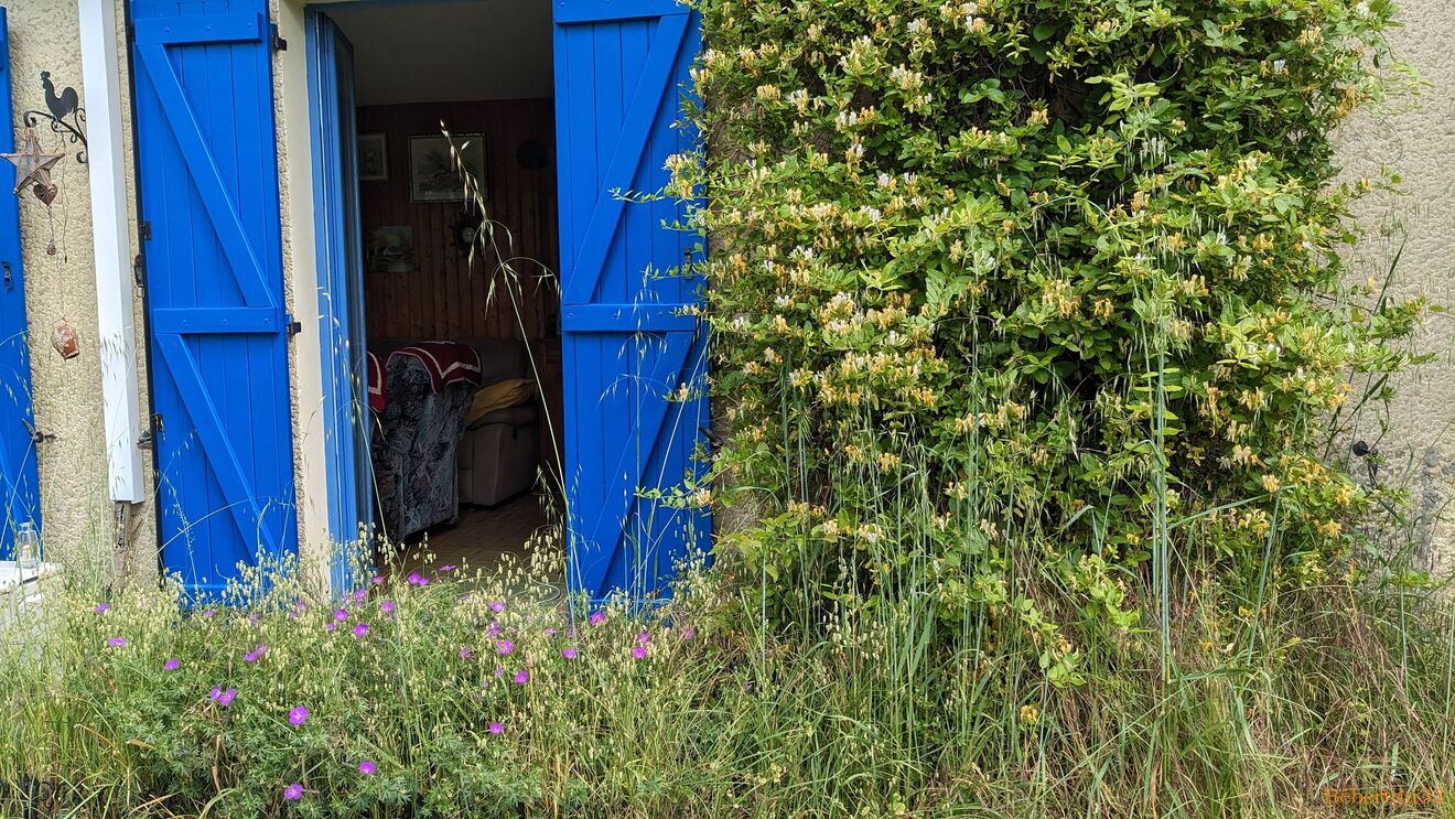 Nos fleurs du jardin 