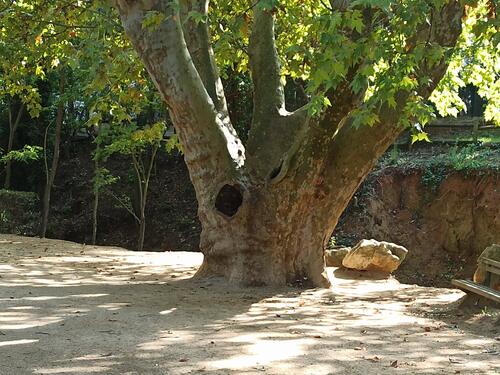 Le parc de la Torse à Aix en Provence.