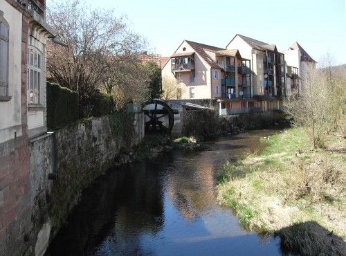 dégustez l'alsace en automne