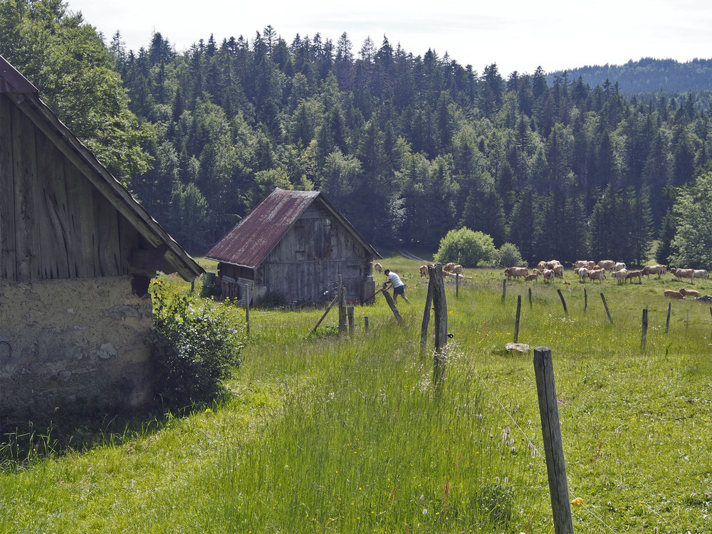 d'autres chemins