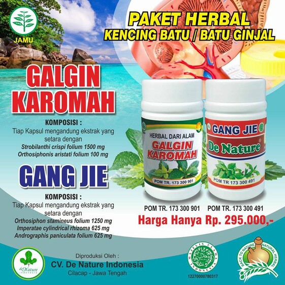 Pengobatan Batu Ginjal Alami