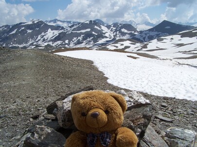 mascotte en montagne