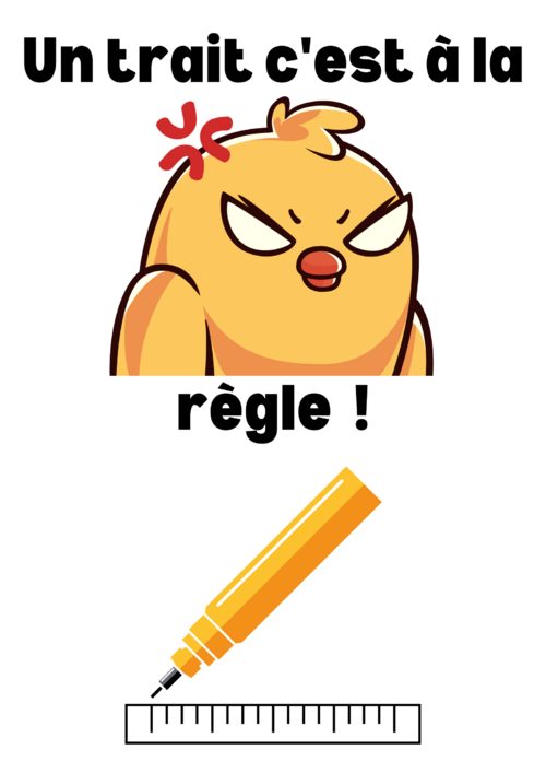 Série affichage : La règle 