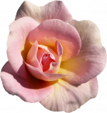 Tubes fleurs