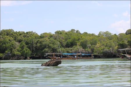 Safaris Blue, Zanzibar. 2023.