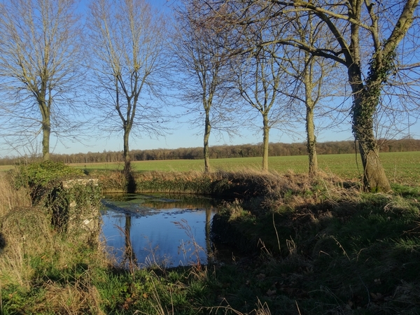 D'autres mares châtillonnaises...