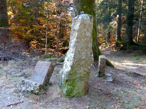 Le Bois de Miquel (L'Espérou - Aigoual)