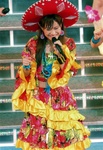 Galerie Photos "Morning Musume Concert Tour 2009 Haru ~Platinum 9 DISCO~"