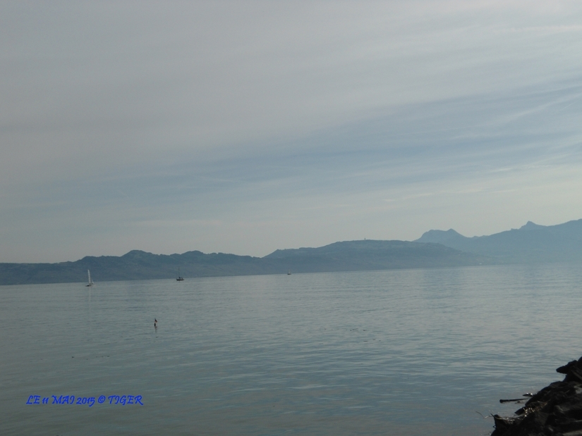 PHOTOS  (LA SAVOIE... Barque de la rive Française du Léman) de TIGER