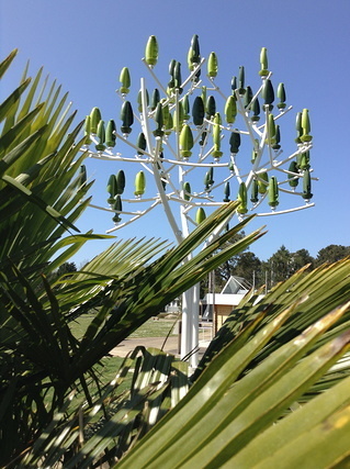 L'arbre à vent...