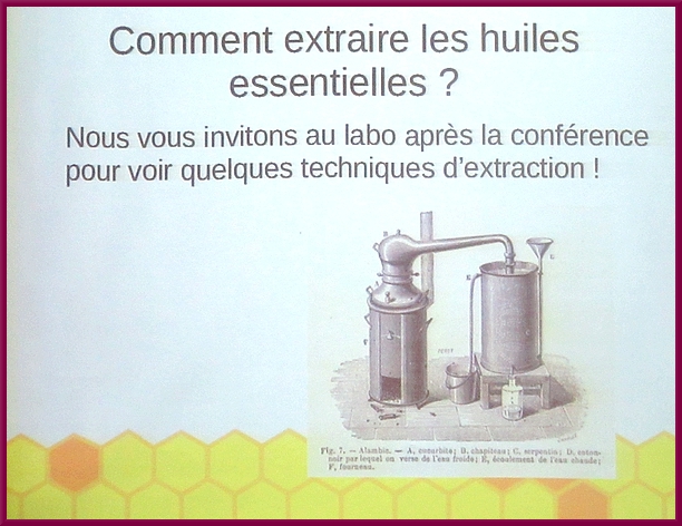 "La Journée de la Science" au Lycée de la Barotte, a exploré les différentes utilisations des huiles essentielles, en particulier pour l'agriculture