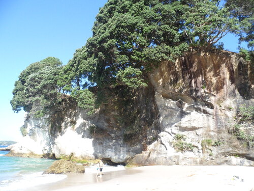 Bay of plenty et péninsule de Coromandel