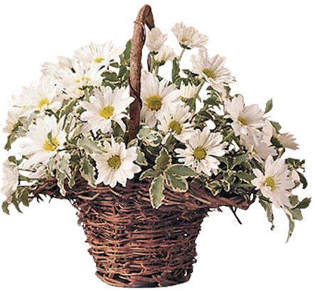 tubos de flores / ramos