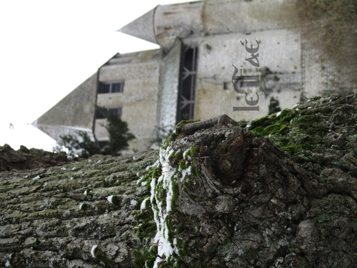 Balade sous la Neige à Provins du 5 Février 2018