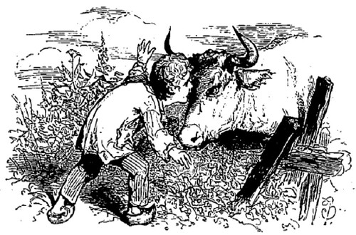 La Vache Enragée - Jean Macé (Contes du Petit Château)