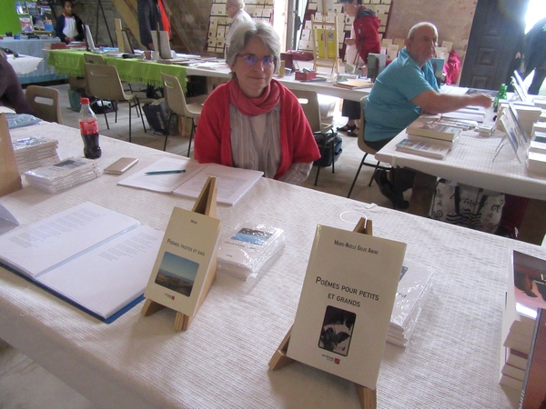 La 7ème Fête du Livre a eu lieu sur la butte du château de Jully, dans l'Yonne, en août 2019