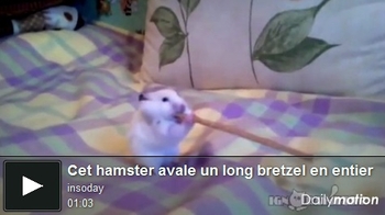 hamster bretzel