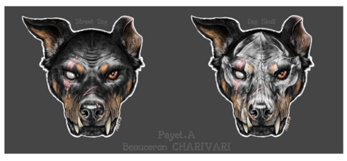 CHARIVARI - Beauceron, Stray Dog Beauceron, DogSkull Payet Alexandre