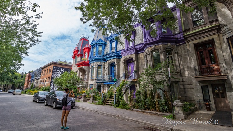 Montréal : Plateau du Mont-Royal 2/2