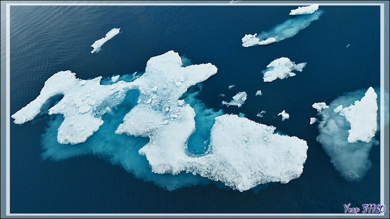 Toujours à la recherche d'un glaçon pour débarquer - Mer de Beaufort - Nunavut - Canada