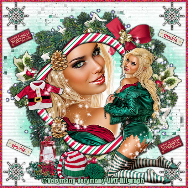 Le lutin du pere noel
