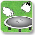 moutons sur trampoline