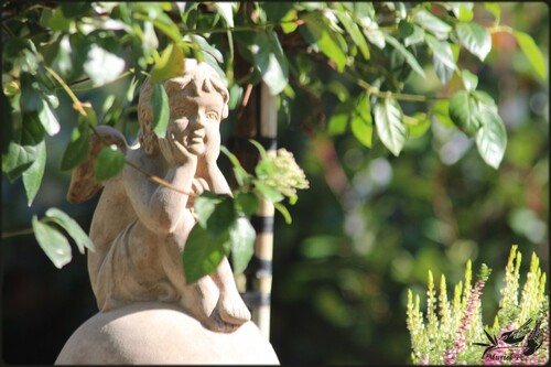 Flânerie à la foire aux plantes de Lasnes