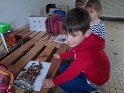 Maternelle : faire classe dehors