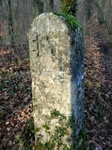 borneantonistes-copie-1.JPG