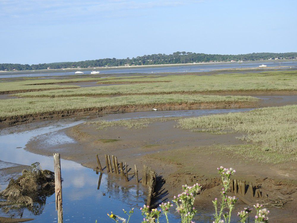 Première balade au bord du Bassin d'Arcachon, depuis deux mois...