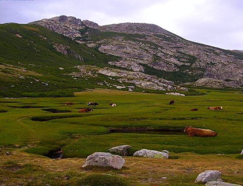 Paysages Corses (merci a Nadine )